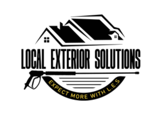 Local Exterior Solutions